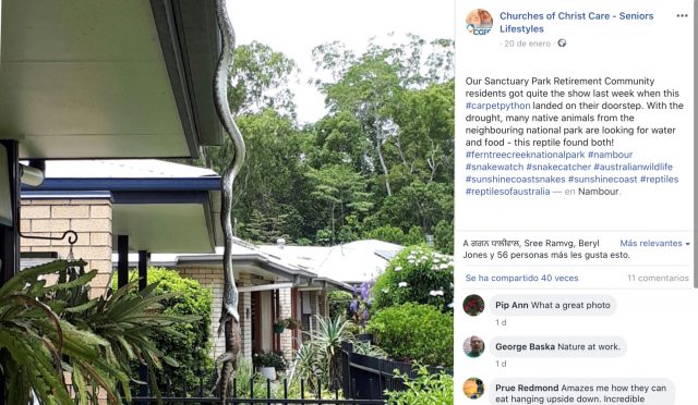 9EA2B8B9 D496 4474 8232 687B04816393