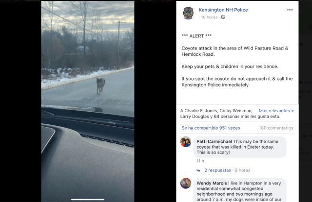 Un padre estrangula con sus propias manos al coyote que atacó a su hijo 1 A70559FC 054B 4991 A9AF A0D7133FAC45