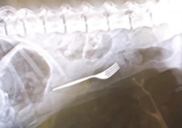 AB38FB18 49B9 42BA BEBE DF92B426B42E