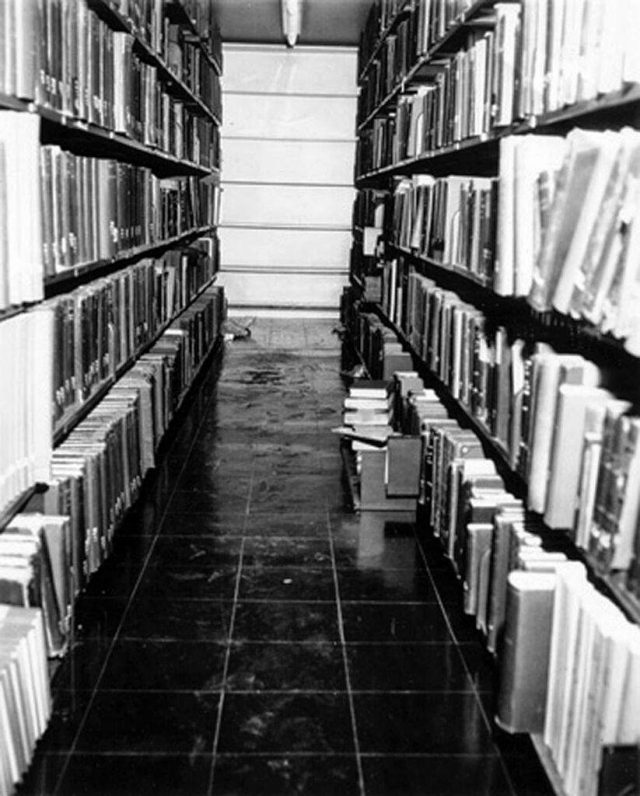 Una estudiante muere apuñalada en la biblioteca de la universidad: el caso de Betsy Aardsma 10 AC9F20D8 1B9A 441D 8735 19D04D3FA4C8