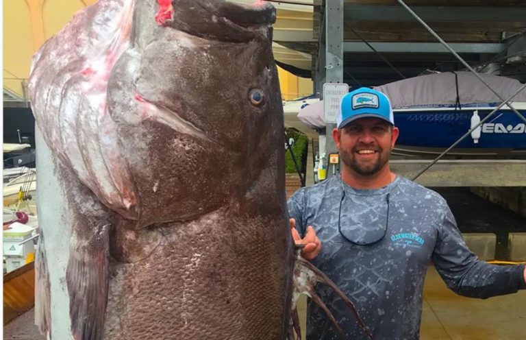 La asombrosa pieza de más de 150 kilos que capturó un grupo de pescadores en Florida