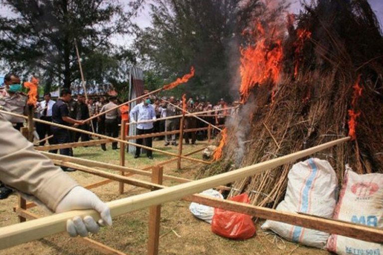 La policía droga a un pueblo entero por error
