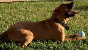 BDBE1042 E17E 49C6 B996 F4FB8B8665EE