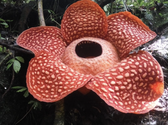 Captura de pantalla 2020 01 07 a las 12.13.10