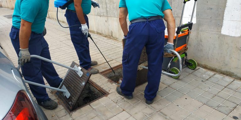 El Ayuntamiento incrementa en un 12,3% los controles de plagas en 2019