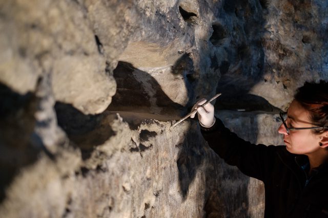Detalle de las labores en su fase culminante