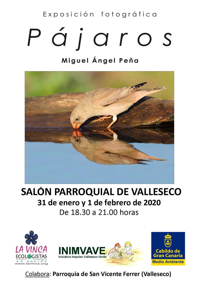 El viernes 31 de enero se abre la Exposición “PÁJAROS”, de Miguel Ángel Peña en el Salón Parroquial de Valleseco