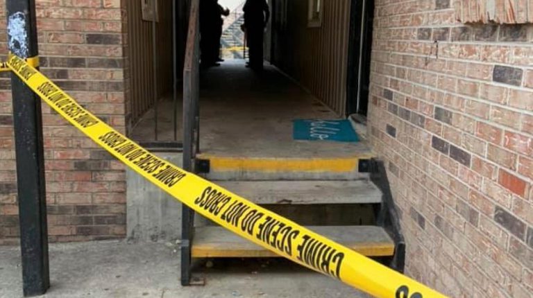 Un niño de nueve años apuñala por la espalda a su hermana de cinco