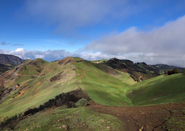 Imagen de archivo Entre Cortijos 1