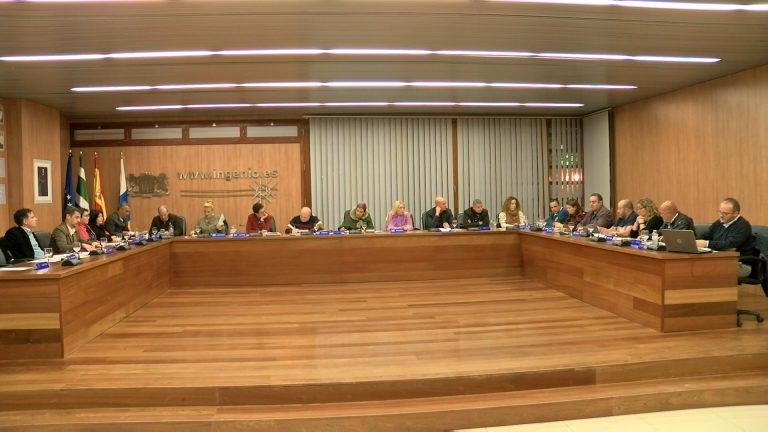 El pleno aprueba la aplicación de las mejoras del personal municipal para mantener la paz laboral 