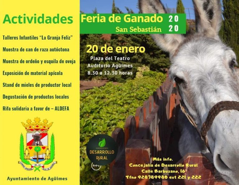 Más de un centenar de animales se concentrarán en la Feria de Ganado San Sebastián
