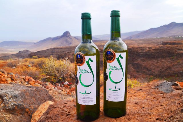 fotos vinos Agüimes enero 2020