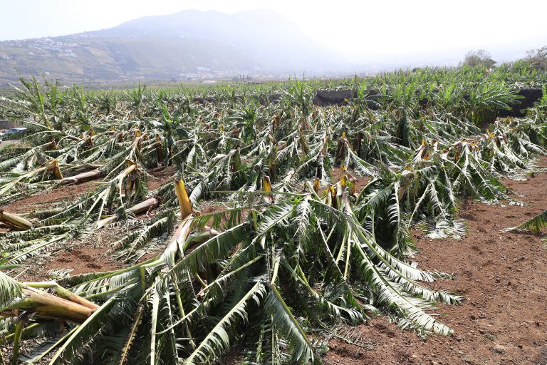 Agricultura reitera en el Senado que los presupuestos del Departamento