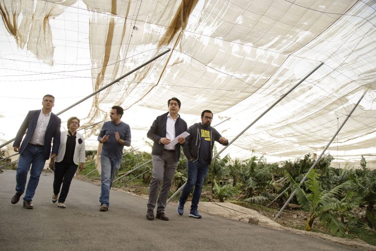 El Cabildo estudia solicitar la declaración de ‘zona catastrófica’ para los municipios de la isla más afectados por los fuertes vientos