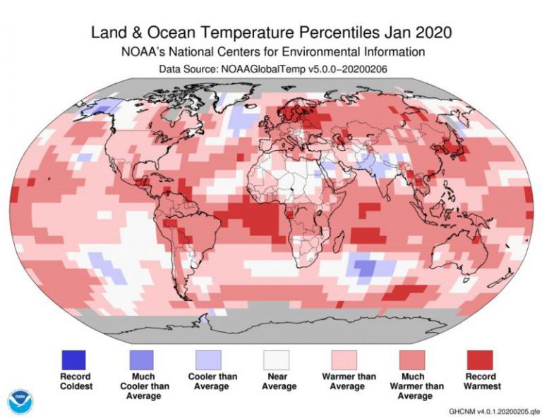 Enero de este año fue el más caluroso jamás registrado en la Tierra