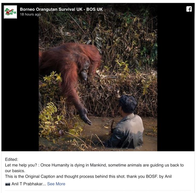 58A6A1CF 61BB 440B BA88 C591929A6232