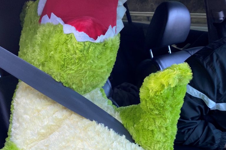 'Cazan' a un conductor viajando junto a un dinosaurio en un carril de uso compartido