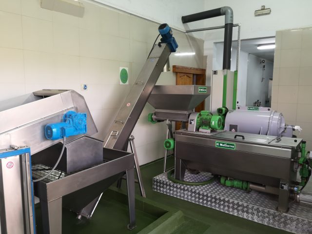 La almazara municipal entrega a los productores locales 300 litros de aceite, resultado de la última zafra 2 ALMAZARA ENTREGA ACEITE PRODUCTORES LOCALES 3