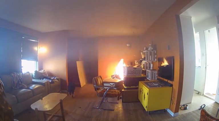 Un perro provoca un incendio tras tirar una plancha encendida en la casa de su dueño