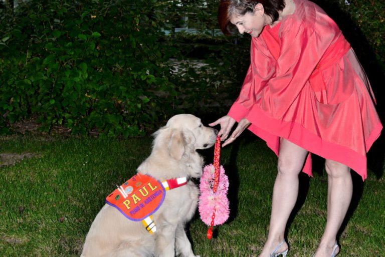 “Los perros de asistencia dan vida”