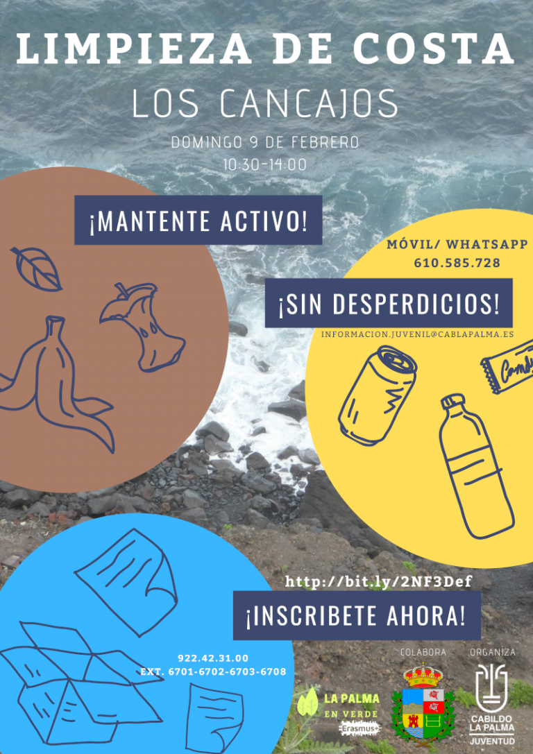 El Área de Juventud pone en marcha el proyecto ‘La Palma en verde’ con una limpieza del litoral en Los Cancajos