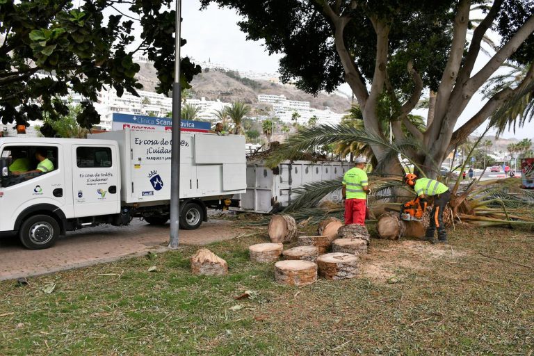 La UME instala su base en Mogán para combatir el incendio de Tasarte