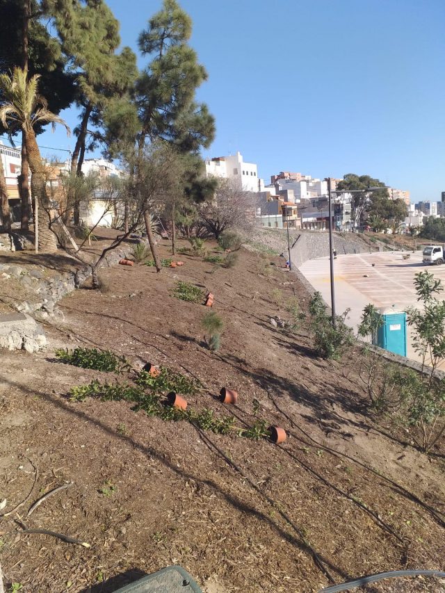 Plantación Finca de Los Medina 2.mp3