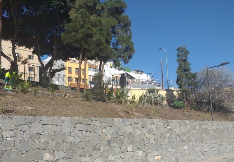 El Ayuntamiento amplía la masa verde de La Paterna con la plantación de casi un centenar de especies