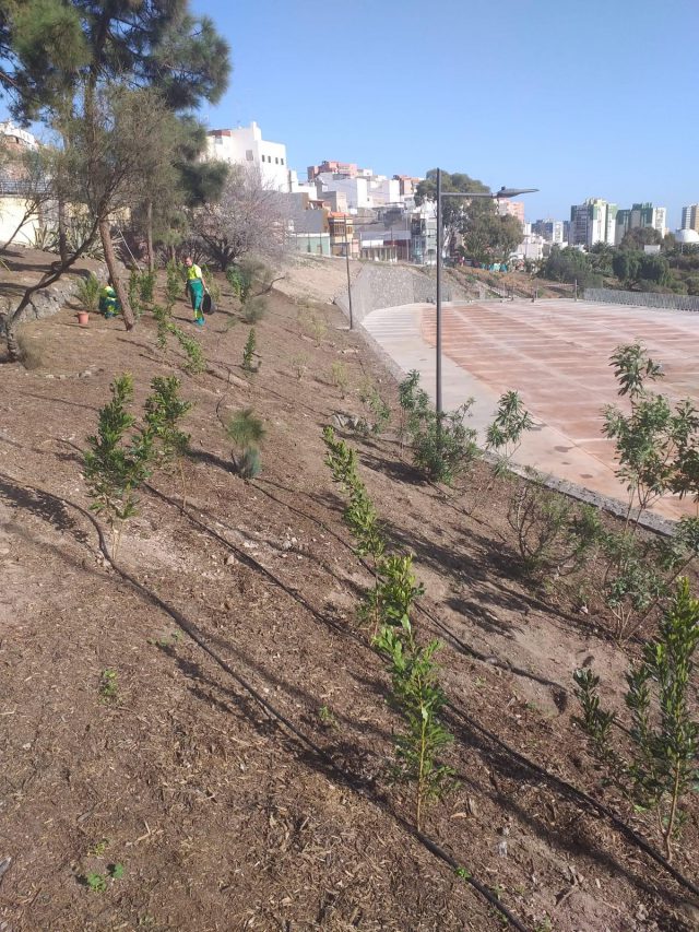 Plantación Finca de Los Medina.mp3