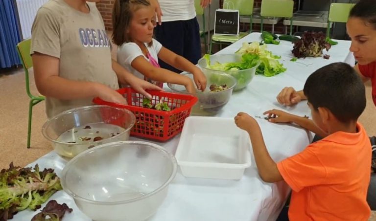 Cuando la terapia es el ocio y el tiempo libre