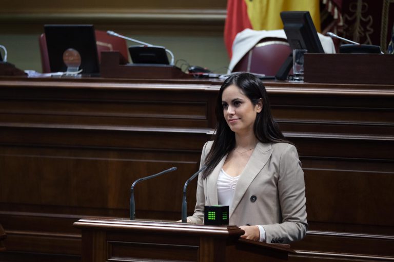 Ciudadanos exige al Gobierno canario que vele por la seguridad sanitaria de los vuelos a las Islas y que vigile sus precios