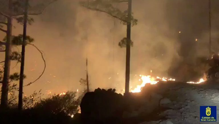Controlado casi en su totalidad el incendio de Tasarte-La Aldea