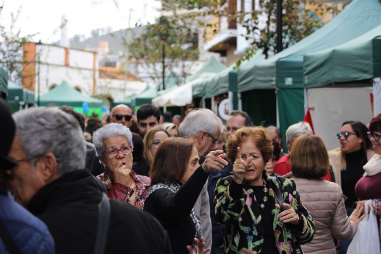El Ayuntamiento de la Villa de Moya redacta con los empresarios el Plan Director de la Zona Comercial Abierta del municipio