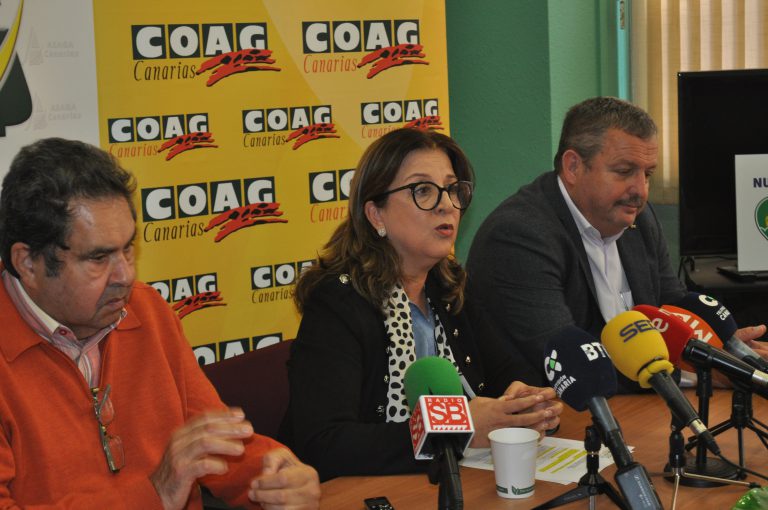 ASAGA insta al gobierno de canarias a prorrogar los Ertes  en el sector ornamental