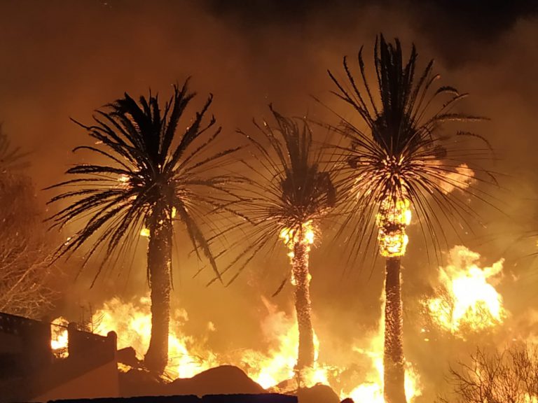 La Brigada de Investigación (BIIF) del Cabildo inicia las pesquisas para determinar la causa de los incendios de Tasarte y el Bentayga