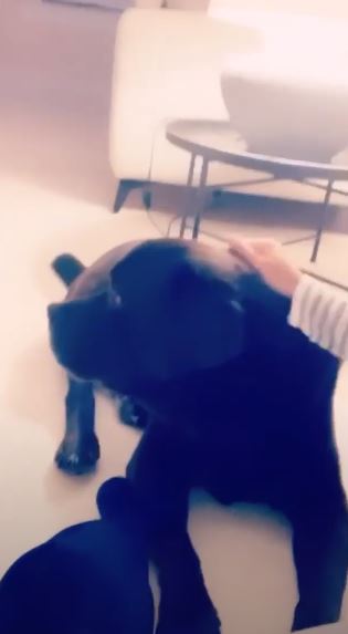 Lara Álvarez, entre lágrimas, en su último vídeo de Instagram 1 lara 3