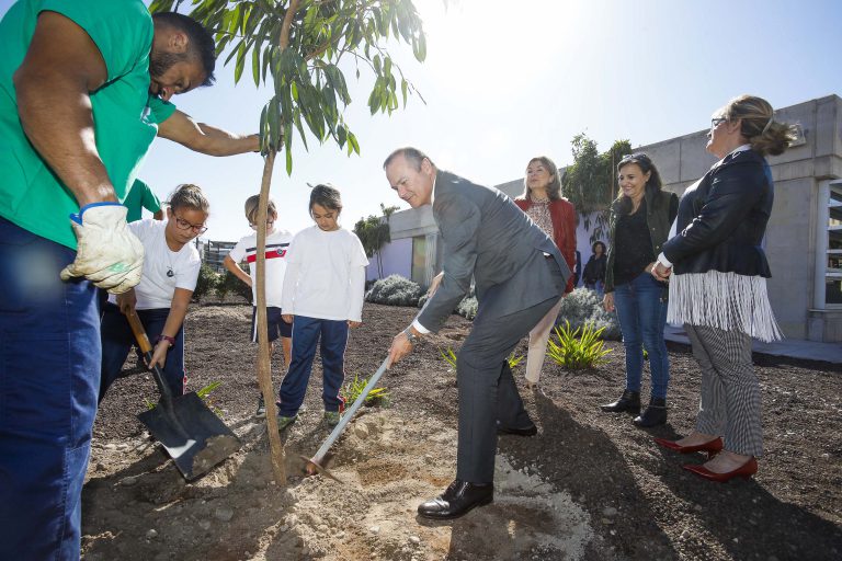 El Ayuntamiento plantará este año 2.020 nuevos árboles por toda la ciudad para mitigar los efectos de las emisiones de carbono