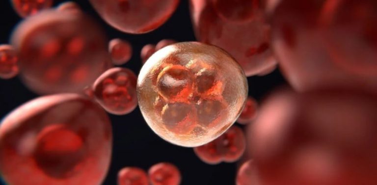 Cómics para explicar la terapia inmunocelular para el cáncer infantil