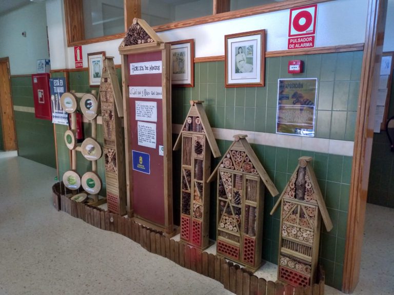 Finalizan en el IES Santiago Santana de Arucas las actividades del Proyecto “Educando hacia una Sostenibilidad Medioambiental”