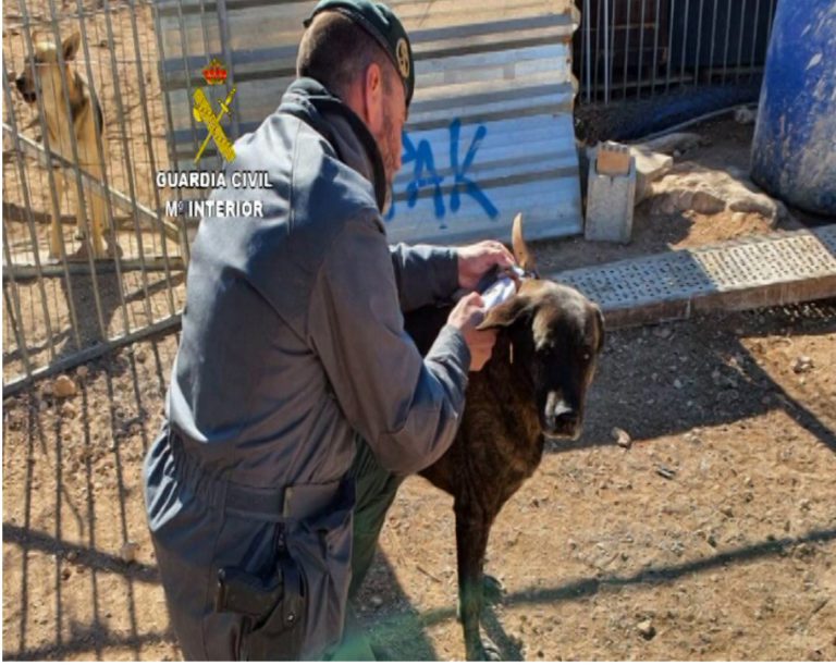 Detienen a la dueña de una protectora como responsable de la muerte de casi 500 animales