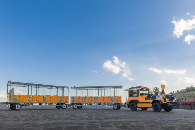 200214 Circuito turístico City View 2019 2