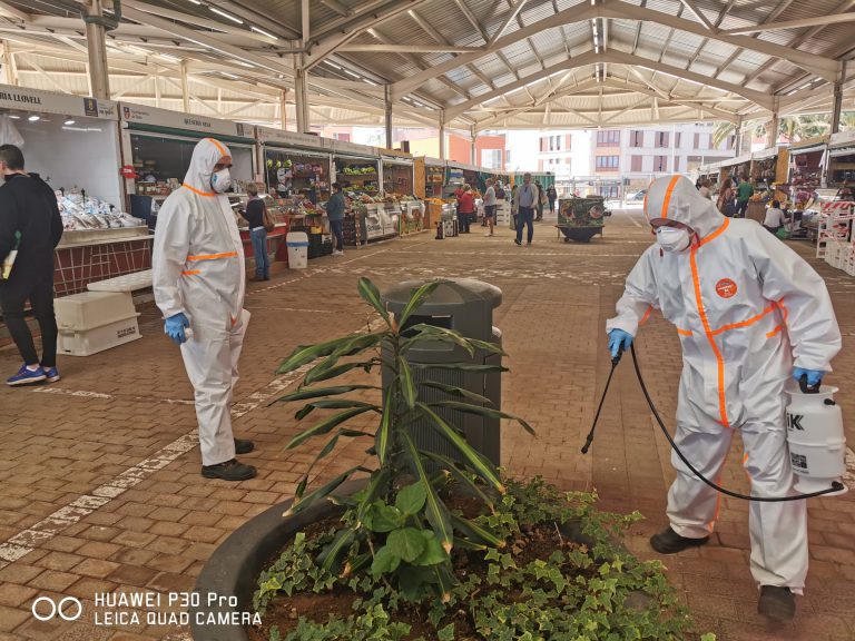 El Ayuntamiento recurre a dos empresas externas para intensificar los tratamientos biocidas en las zonas más sensibles 