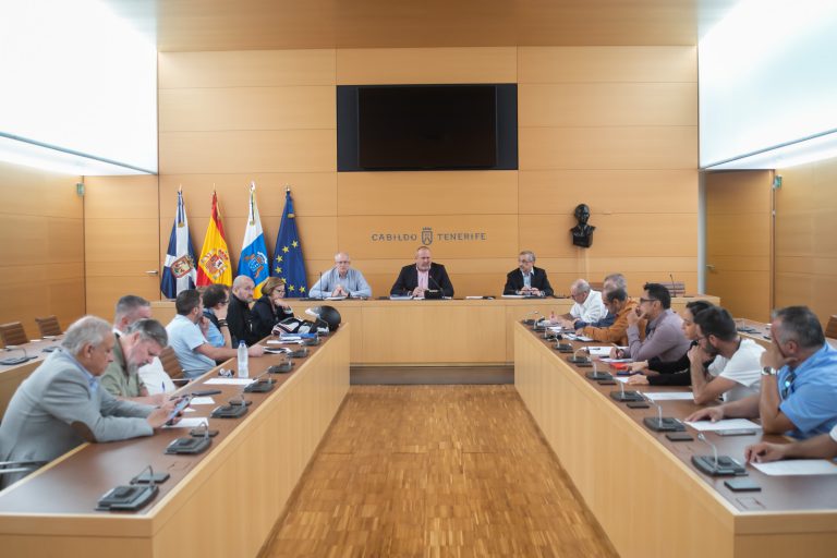 El Cabildo y los taxistas acuerdan trabajar de forma conjunta para modernizar el sector
