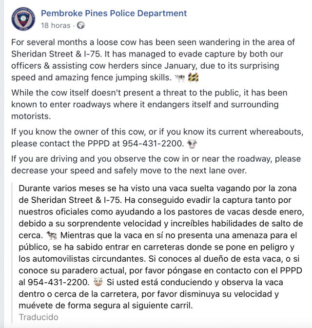 31749F6E 10FE 4487 8EA0 1CE1F326EF05