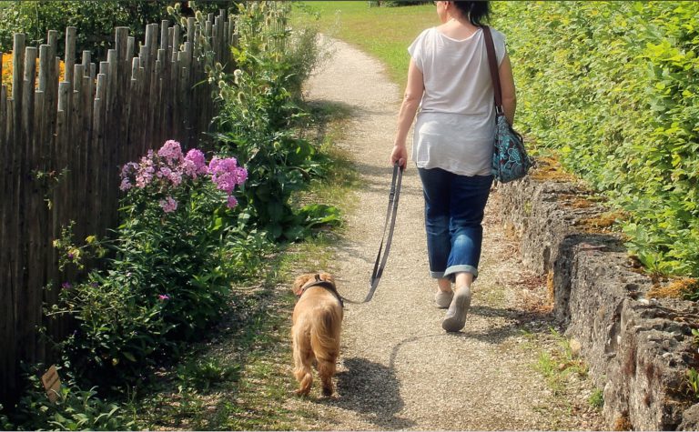 Multan a una asturiana por pasear al perro lejos de su domicilio e intentar esquivar el confinamiento