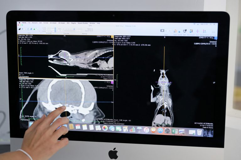 Tres profesores de la ULPGC, designados miembros de los Comités Asesores de la Comisión Nacional Evaluadora de la Actividad Investigadora