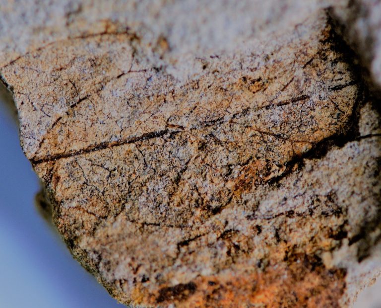 El Cabildo impulsa el teletrabajo para sus empleados