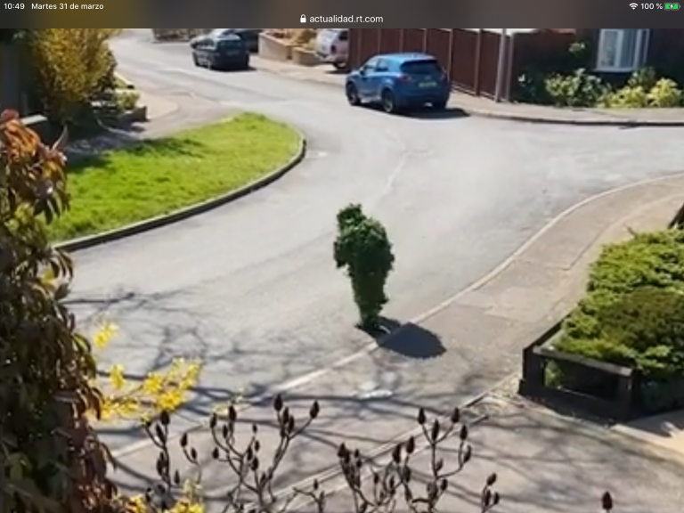 Graba a su vecino disfrazado de arbusto para evadir la cuarentena