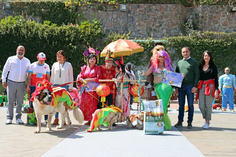 La Villa de Moya se adentró en el Carnaval con feria y concurso de mascotas disfrazadas