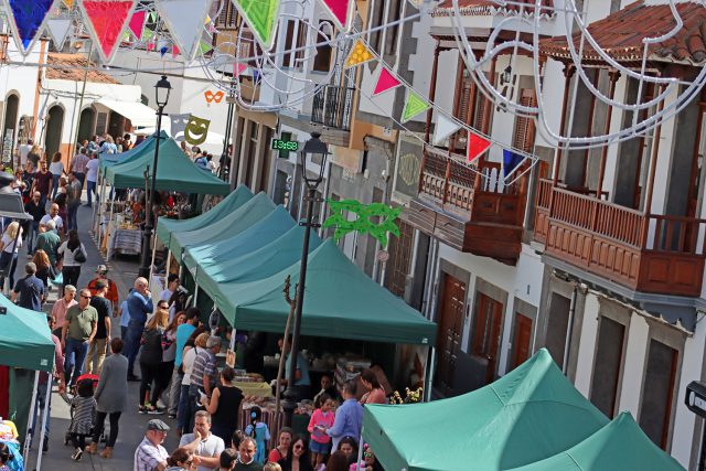 La Villa de Moya se adentró en el Carnaval con feria y concurso de mascotas disfrazadas 1 INICIO CARNAVAL VILLA DE MOYA 2